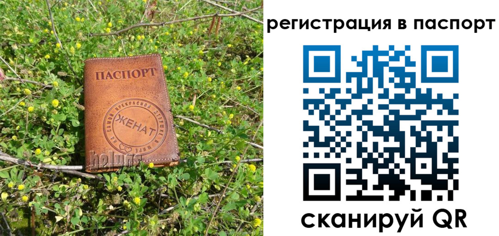 прописка законно в Называевске
